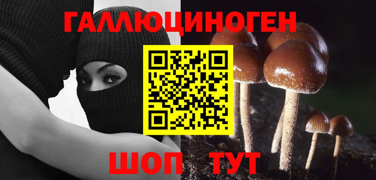 Псилоцибиновые грибы мицелий  Вход с VPN  Аргун 